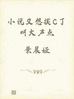 小说又想挨C了叫大声点
