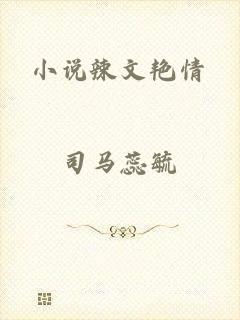 小说辣文艳情