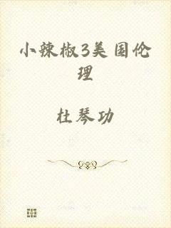 小辣椒3美国伦理