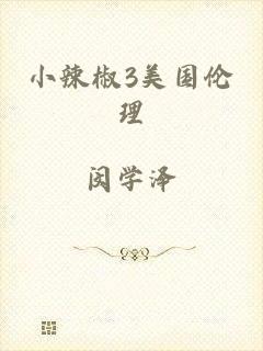 小辣椒3美国伦理