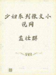 少妇系列辣文小说网