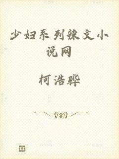 少妇系列辣文小说网