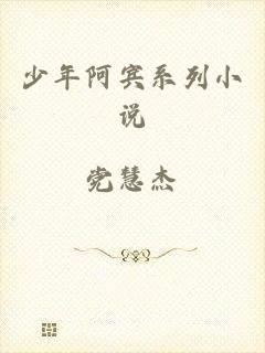 少年阿宾系列小说