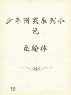 少年阿宾系列小说