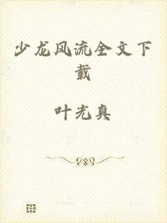 少龙风流全文下载
