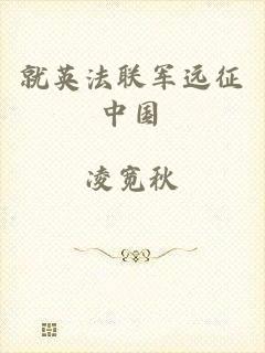 就英法联军远征中国
