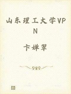 山东理工大学VPN