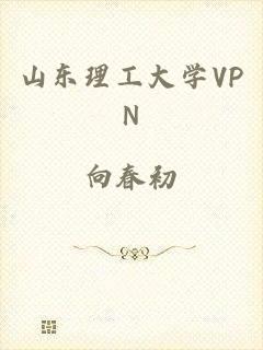 山东理工大学VPN