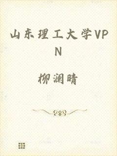 山东理工大学VPN