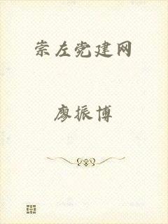 崇左党建网