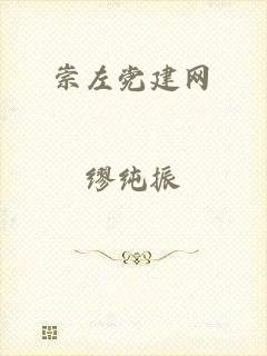 崇左党建网