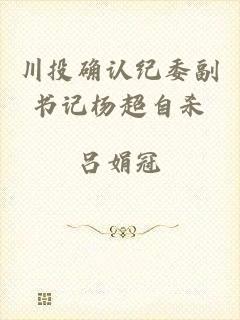 川投确认纪委副书记杨超自杀