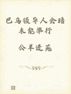 巴乌领导人会晤未能举行