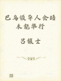 巴乌领导人会晤未能举行