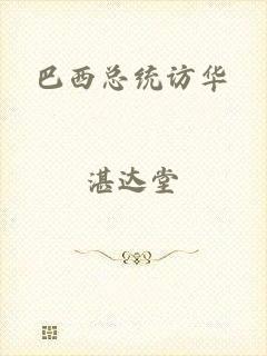 巴西总统访华