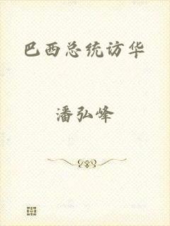 巴西总统访华