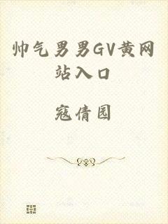 帅气男男GV黄网站入口