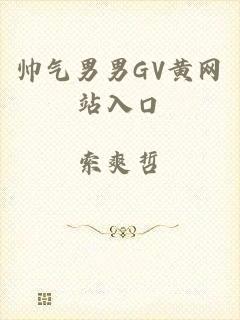 帅气男男GV黄网站入口