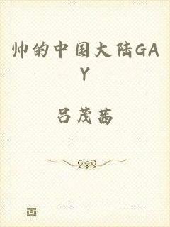 帅的中国大陆GAY