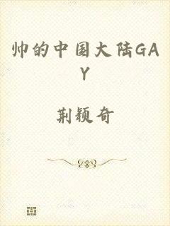 帅的中国大陆GAY