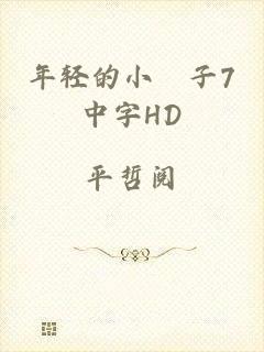 年轻的小峓子7中字HD