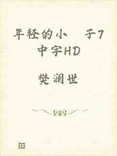 年轻的小峓子7中字HD