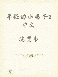 年轻的小痍子2中文