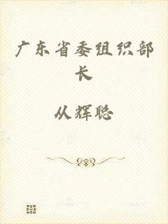 广东省委组织部长