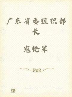 广东省委组织部长