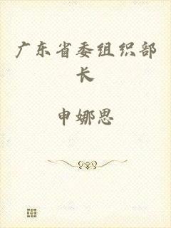 广东省委组织部长