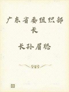 广东省委组织部长