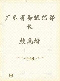 广东省委组织部长