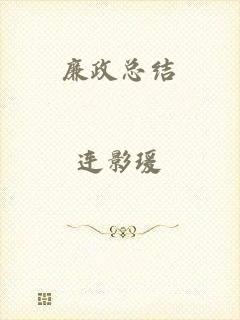廉政总结