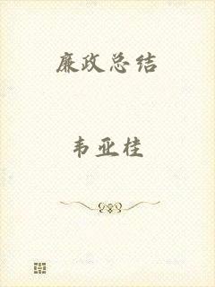 廉政总结