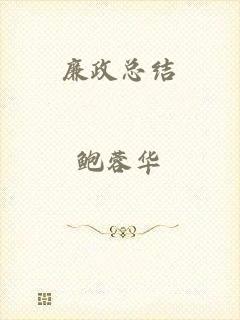 廉政总结