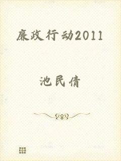 廉政行动2011