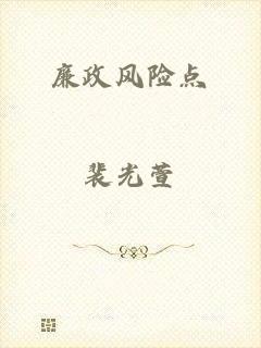 廉政风险点