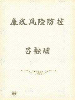 廉政风险防控