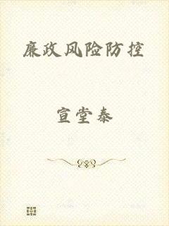 廉政风险防控