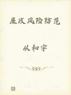 廉政风险防范