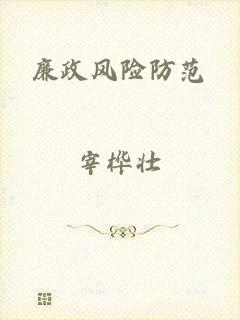 廉政风险防范