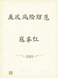 廉政风险防范