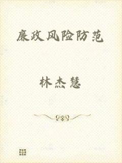 廉政风险防范