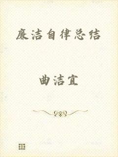 廉洁自律总结