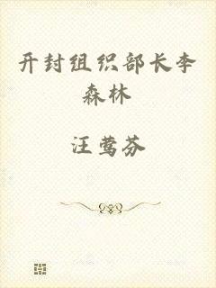 开封组织部长李森林