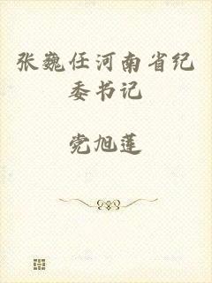 张巍任河南省纪委书记