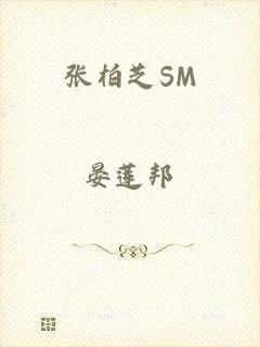 张柏芝SM