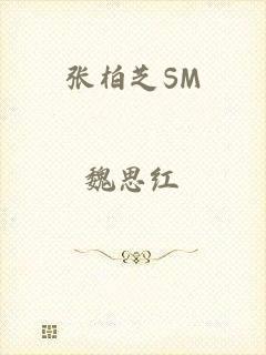 张柏芝SM