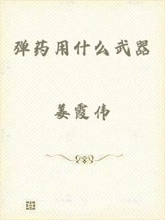弹药用什么武器