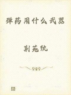 弹药用什么武器